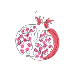 Vector image of a pomegranate fruit. One line drawing.
