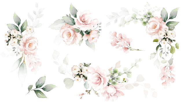 Set watercolor arrangements with garden roses. collection pink flowers, leaves, branches. Botanic illustration isolated on white background. © lisima