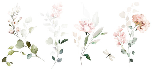 Set watercolor arrangements with garden roses. collection pink flowers, leaves, branches. Botanic illustration isolated on white background. - 471275623