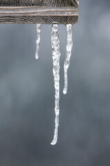 Frost and ice: Three icicles hanging outdoors from a wooden plank with a grey background