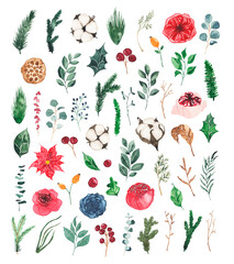 Set of watercolor Christmas flora, pine cones, fir branches, cotton, green leaves isolated on white background. Botanical winter floral illustration