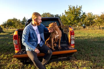 Best friends sitting in the back of a pickup truck, young bearded man and his American bully canine...