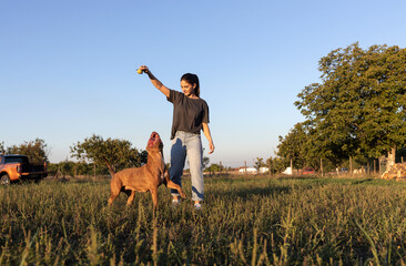 Pretty girl playing with her American bully dog in the open fields of countryside enjoying - obrazy, fototapety, plakaty