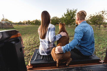 Image of young couple sitting on the cargo bed door of their pickup truck accompanied with their best friend American bully dog pet somewhere in the countryside - obrazy, fototapety, plakaty