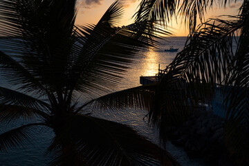 Palm trees and the setting sun on the island of Bonaire - Dutch Caribbean
