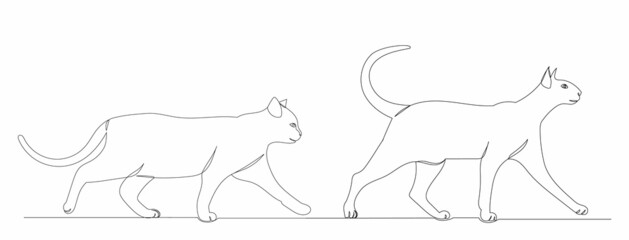 cats walk one line drawing, vector