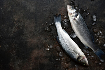 Raw organic sea bass. Top view with copy space.