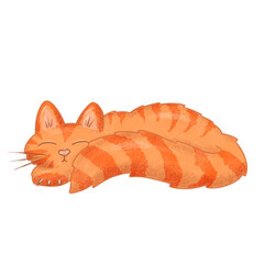 Cute Fluffy Cartoon Cat Kitten Character Illustration