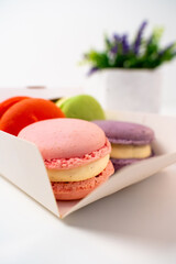 Opened Box of Macarons on a white table against the backdrop of a decorative flower in a pot.