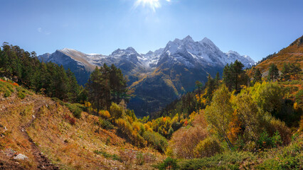 Fototapeta premium A high mountain gorge with grass, trees, and rocks, in early fall