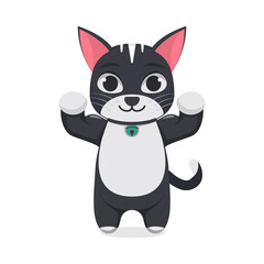 Cute cat posing, white background