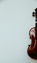 violin