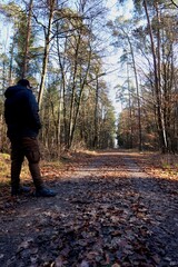 walking in the woods