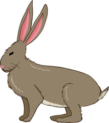 Cute cartoon rabbit, Asian zodiac sign, astrological symbol, isolated on white. Hand drawn vector illustration. Flat style design. 2023 Chinese New Year card, banner, poster, horoscope element.