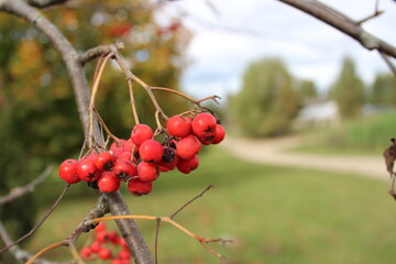 Мои путешествия