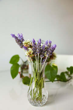 Lavender and clover flowers in a vase on table inside