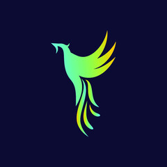Bird logo concept. Colorful logo.