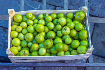 Green Tomato Crate