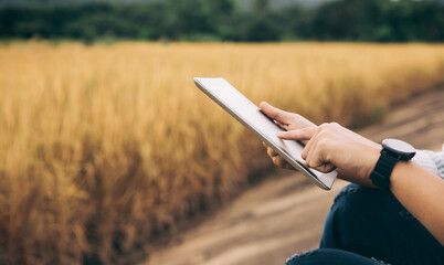 Hand of farmer touch on tablet screen for search real time wheat price on website and internet