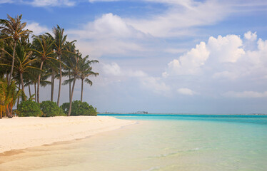 Obraz na płótnie Canvas Idyllic Beach with Palm Trees at the Maldives, Indian Ocean
