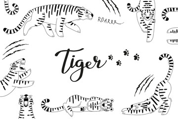 Card with cute tigers, paw prints and scratches. Tiger is the Zodiac Symbol of the 2022 New Year - 471303058