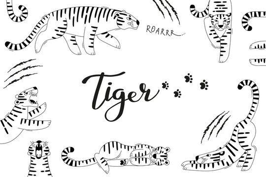 Card with cute tigers, paw prints and scratches. Tiger is the Zodiac Symbol of the 2022 New Year