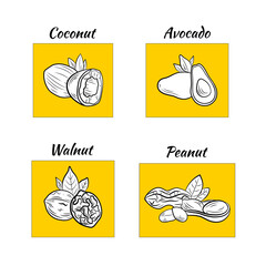 set of nut icons, bright yellow design elements, oils, outline illustration template.