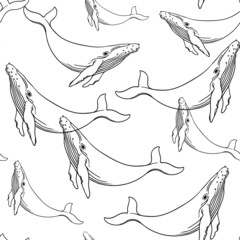 Fototapeta premium Whale seamless pattern on white background. Sea creatures. Wrapping paper