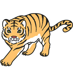 Outlined simple tiger walking and approaching illustration