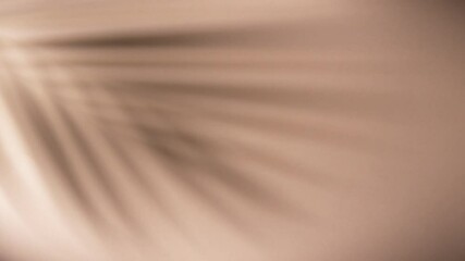 Super slow motion shot of moving shadow of palm leaves on beige background. Filmed on high speed cinematic camera at 1000 fps.