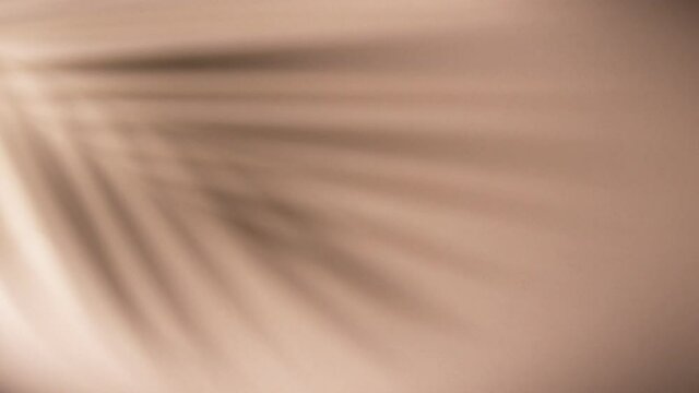 Super slow motion shot of moving shadow of palm leaves on beige background. Filmed on high speed cinematic camera at 1000 fps.