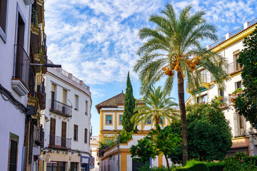 Fototapeta na wymiar View of buildings and tall palm trees in the tourist town of Cordoba Spain.