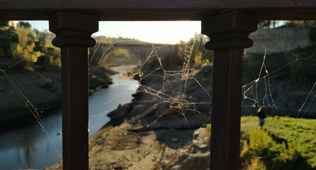 spider web with landscape in the background