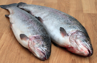 Two freshly caught trout on a wooden background. Fish for dinner. Preparation of freshly caught fish