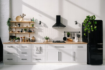 Scandinavian style kitchen interior design with appliances