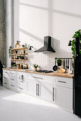 Comfortable kitchen interior design in white style