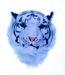 Chinese New Year of the Blue Tiger