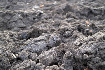 Treated soil. Land for planting agricultural plants. Background. Focus in the lower third.