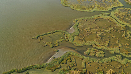 Aerial photo of tropical swamp in vegetated wetland