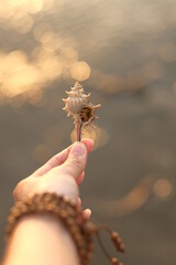 Một ngày trên biển, tôi nhận ra những điều đơn giản lại là phút giây hạnh phúc.