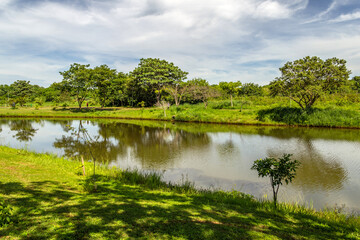 Uma bonita paisagem com lago, vegetação e céu com nuvens em um dia claro.