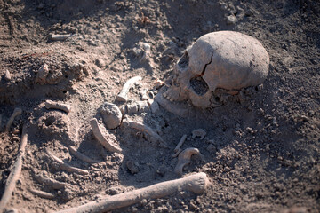 Medieval human remains unearthed during archaeological excavations