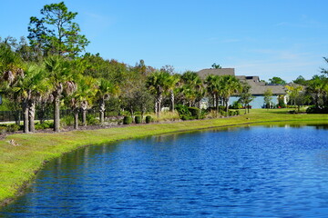 A Florida community pond in winter