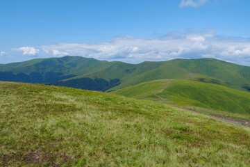 Fototapeta na wymiar Beautiful Carpathian Mountains in Ukraine, Polonina Borzhava mountain range