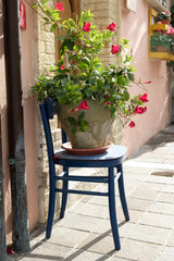 Fototapeta na wymiar vase full of red flowers on a wooden chair