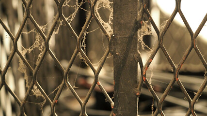 Old Fence and spider cobweb in close up. White cobweb on the old and dirty steel metal fence close-up angle.  