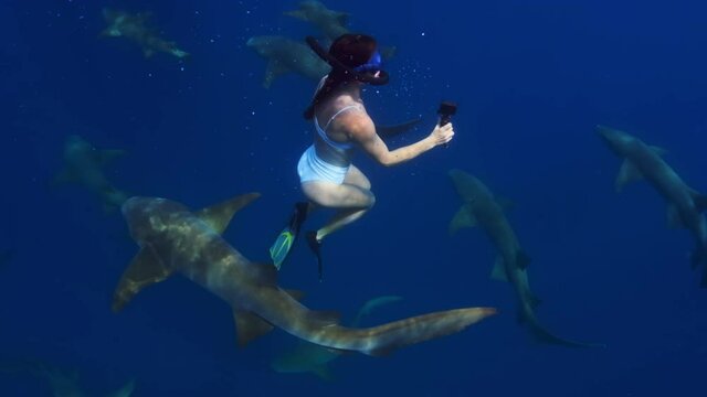 Swimming with sharks. Woman swims with Nurse sharks (Ginglymostoma cirratum) in the ocean.
