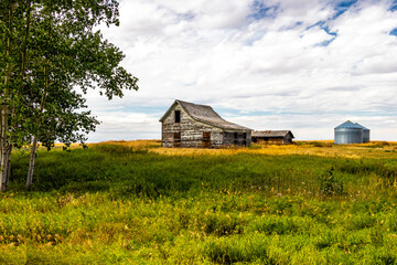 Plakat Rustic farm buildings on the prairies. Vulcan County, Alberta, Canada