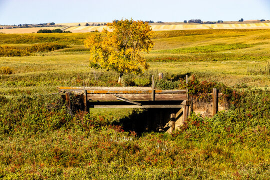 A Drive Through Wheatland County Alberta Canada