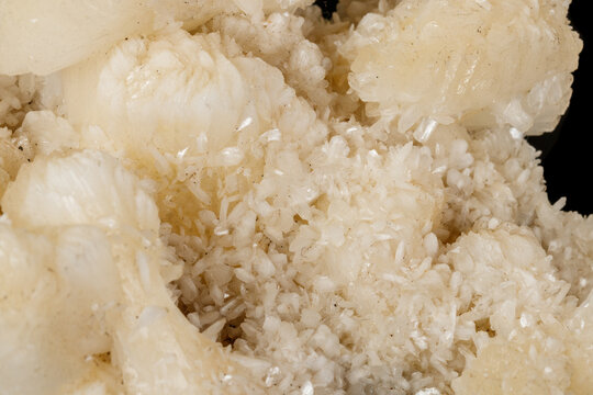 Macro stone albite mineral on white black close up